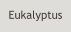 Eukalyptus