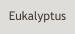 Eukalyptus